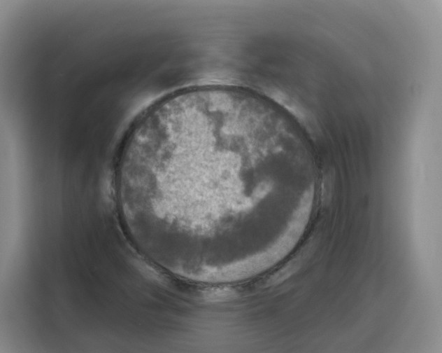 X0000115131454200911241436