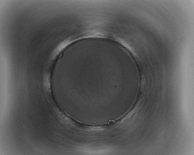 X0000115131455200911241436