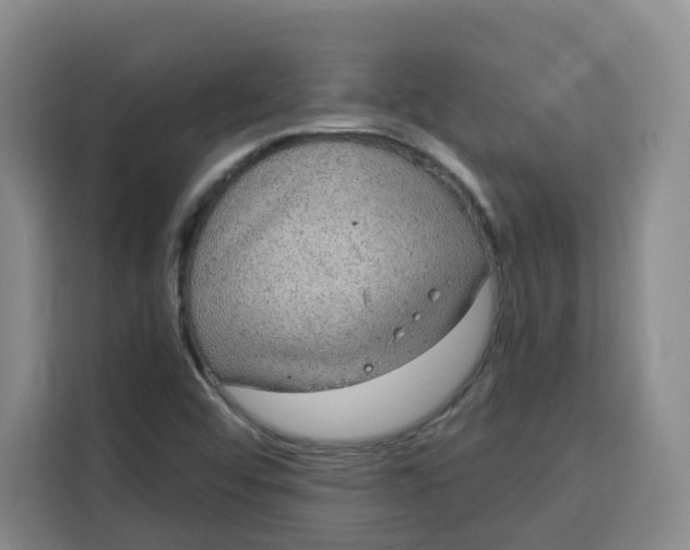 X0000115131456200911241436
