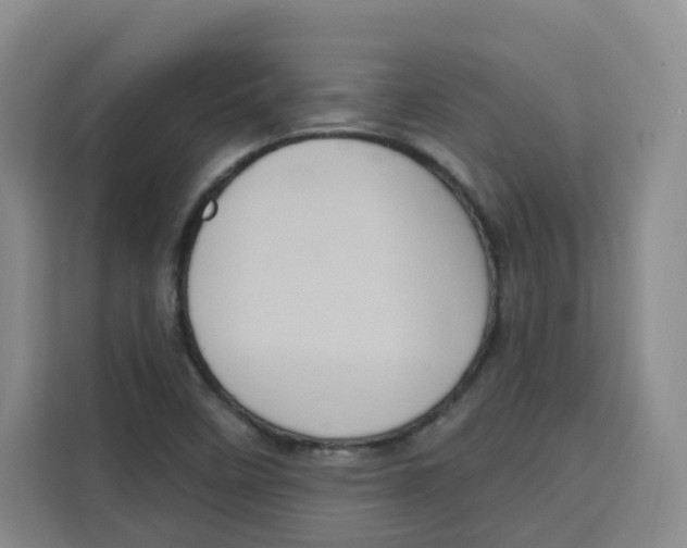 X0000115131458200911241436
