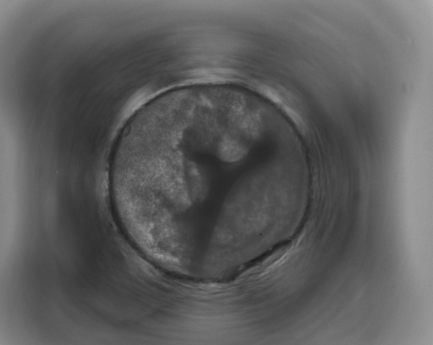 X0000115131459200911241436