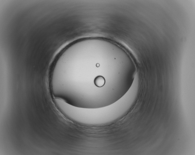 X0000115131460200911241436