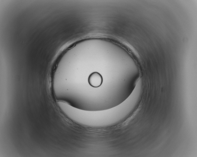 X0000115131461200911241436
