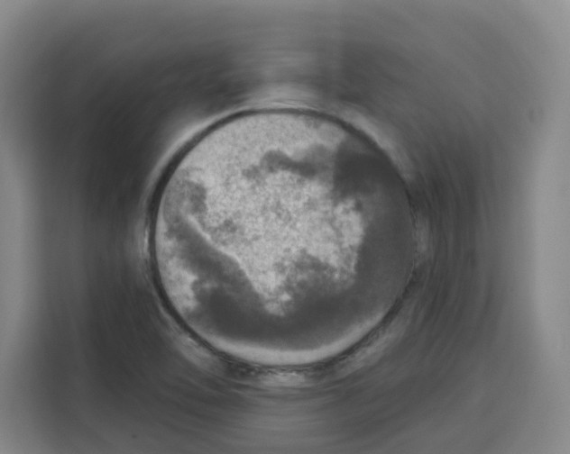 X0000115131462200911241436