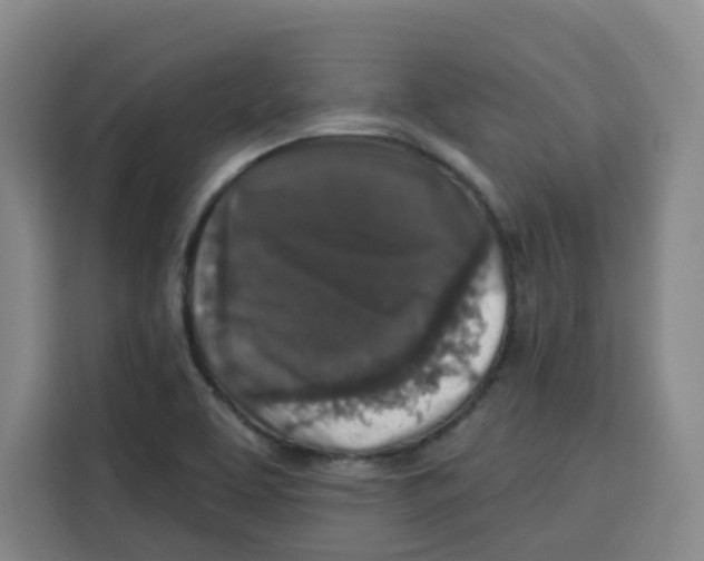 X0000115131463200911241436