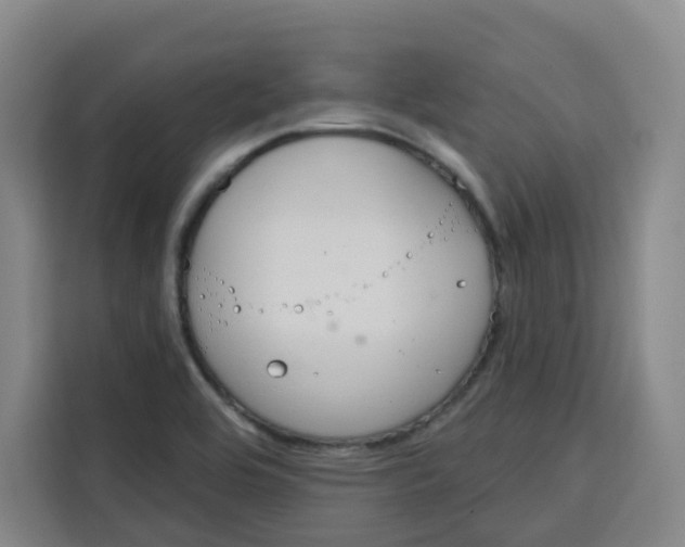 X0000115131464200911241436