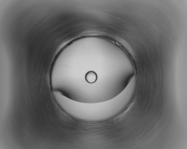 X0000115131465200911241436