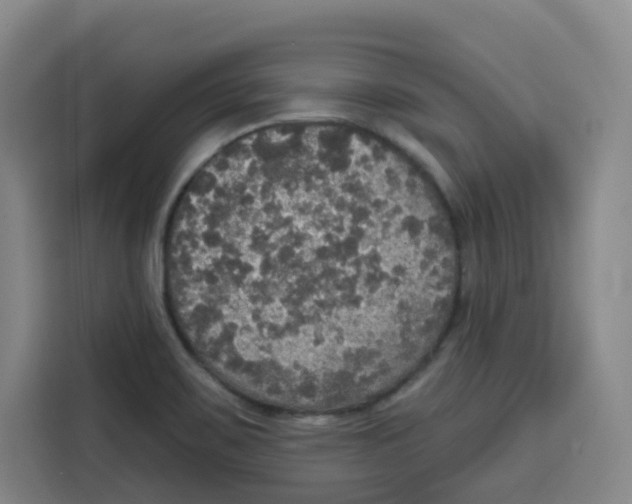X0000115131467200911241436