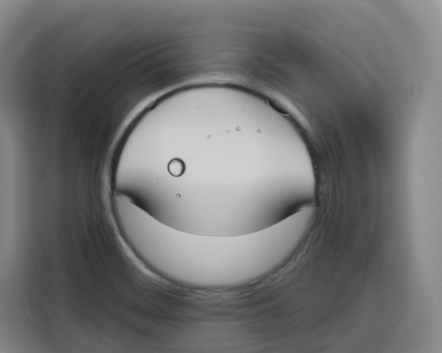 X0000115131468200911241436