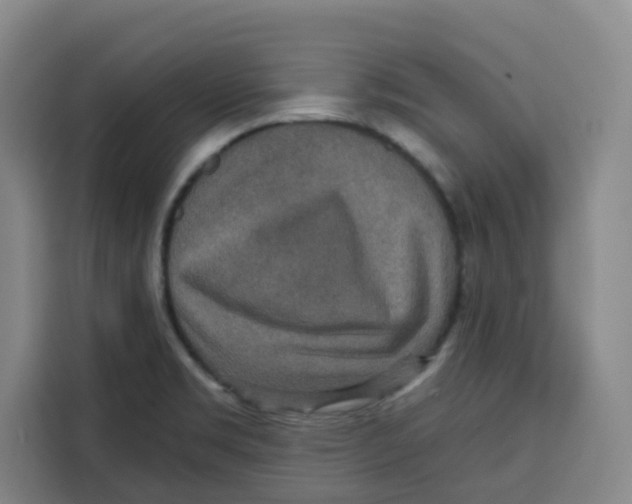 X0000115131469200911241436