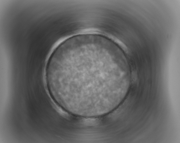 X0000115131470200911241436