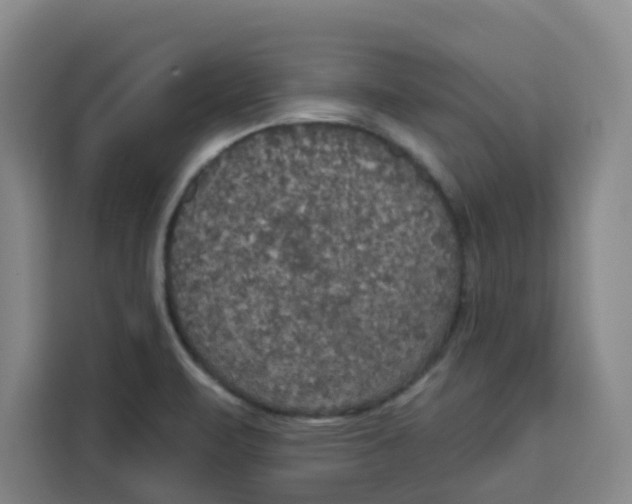 X0000115131471200911241436