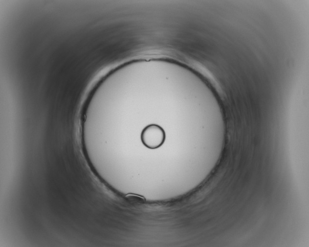 X0000115131472200911241436