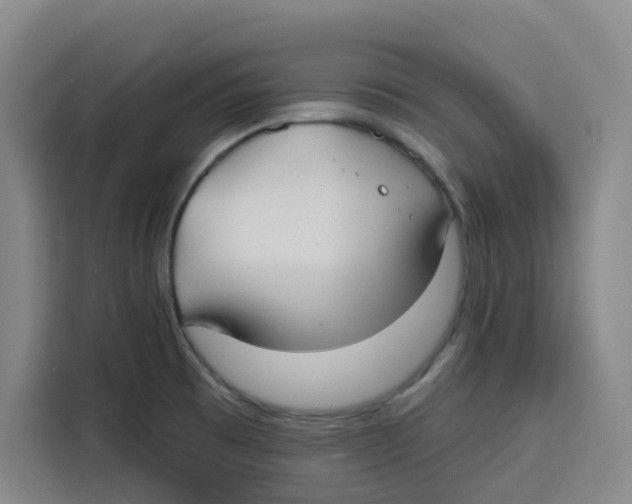 X0000115131473200911241436