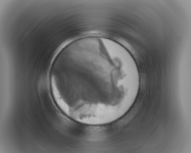 X0000115131474200911241436