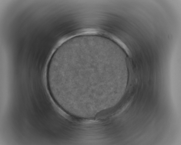 X0000115131475200911241436