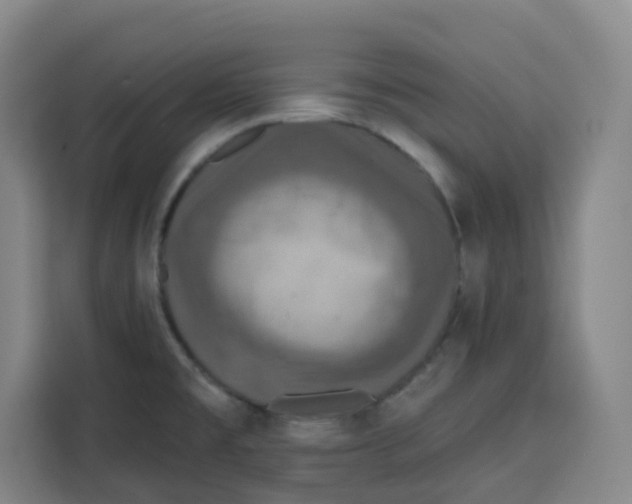 X0000115131477200911241436