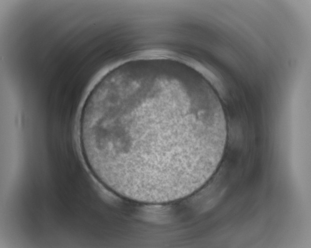 X0000115131478200911241436