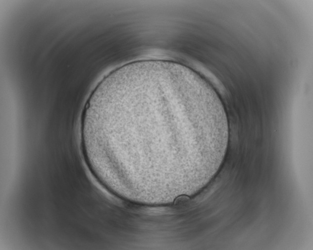 X0000115131479200911241436