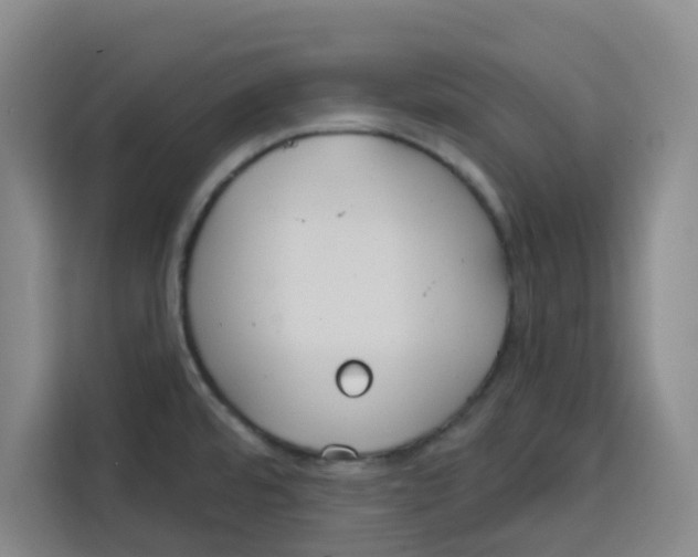 X0000115131480200911241436