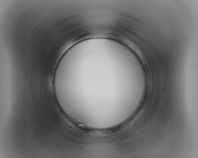 X0000115131481200911241436