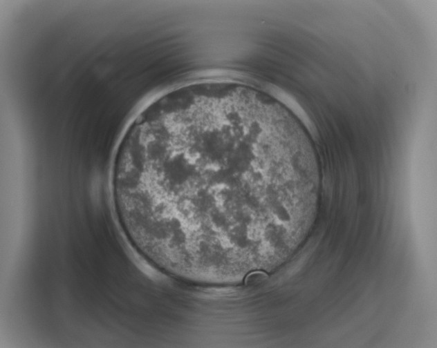 X0000115131482200911241436