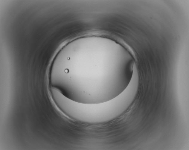 X0000115131483200911241436