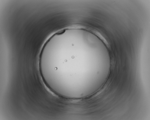 X0000115131484200911241436