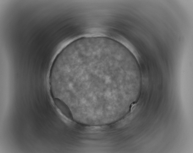X0000115131485200911241436