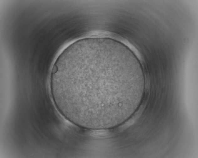 X0000115131486200911241436