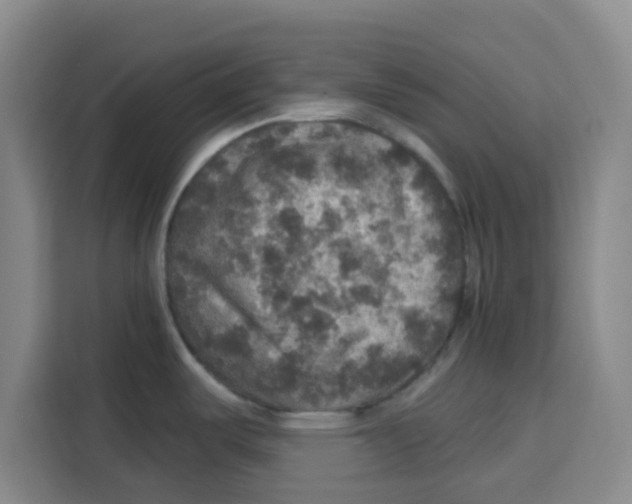 X0000115131487200911241436