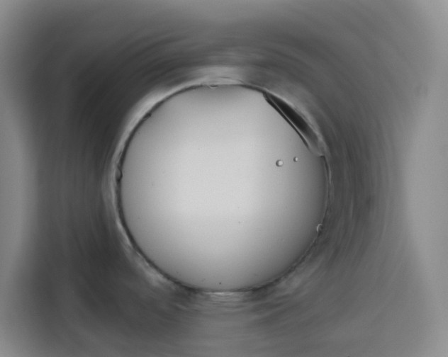 X0000115131488200911241436