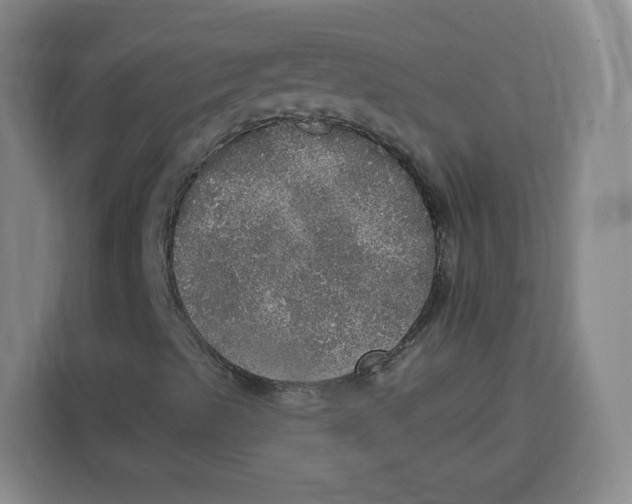X0000115131489200911241435