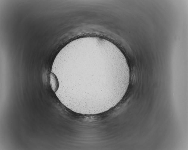 X0000115131490200911241435