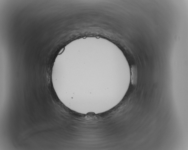 X0000115131491200911241435