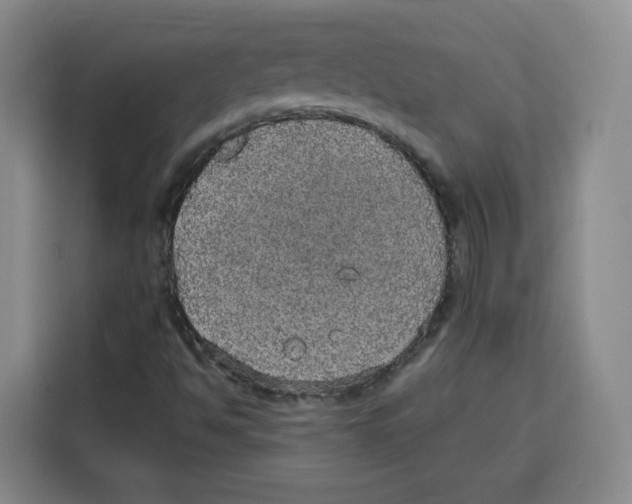 X0000115131494200911241435