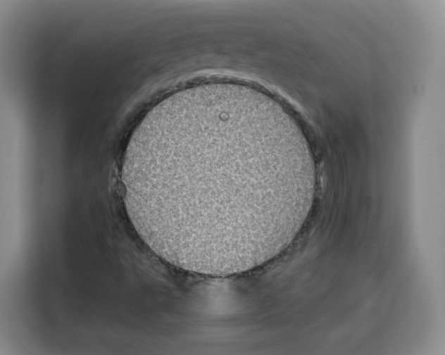 X0000115131495200911241435