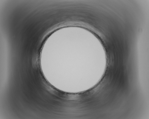 X0000115131498200911241435