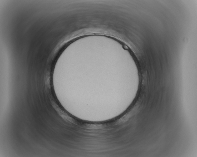 X0000115131499200911241435
