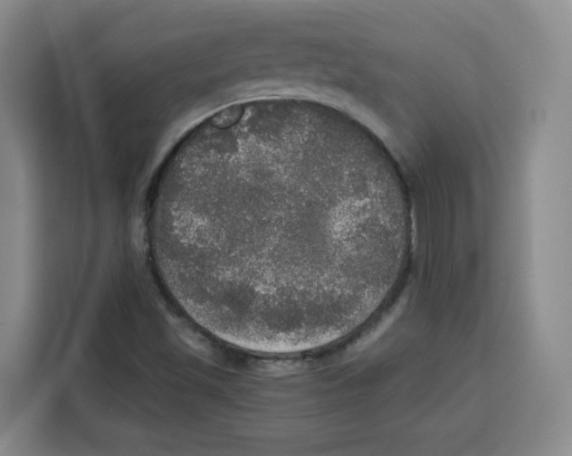 X0000115131501200911241435