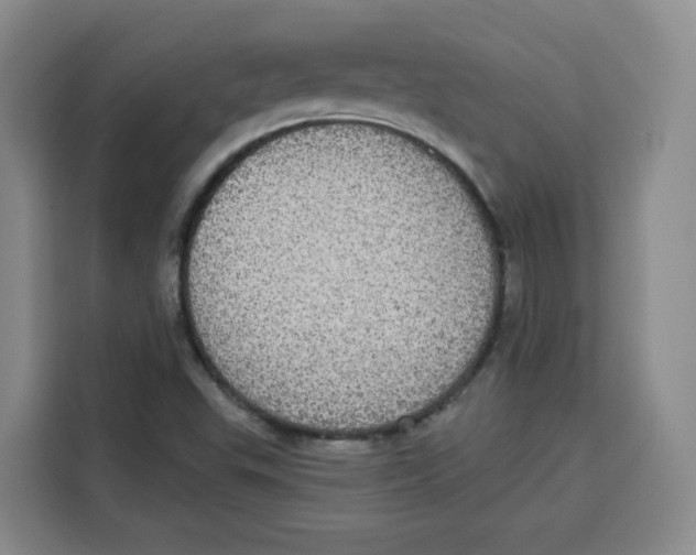 X0000115131503200911241435