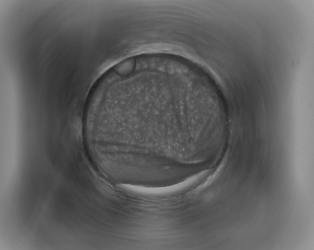 X0000115131505200911241435