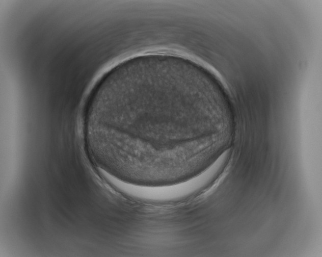 X0000115131506200911241435