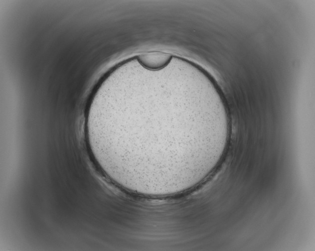 X0000115131507200911241435