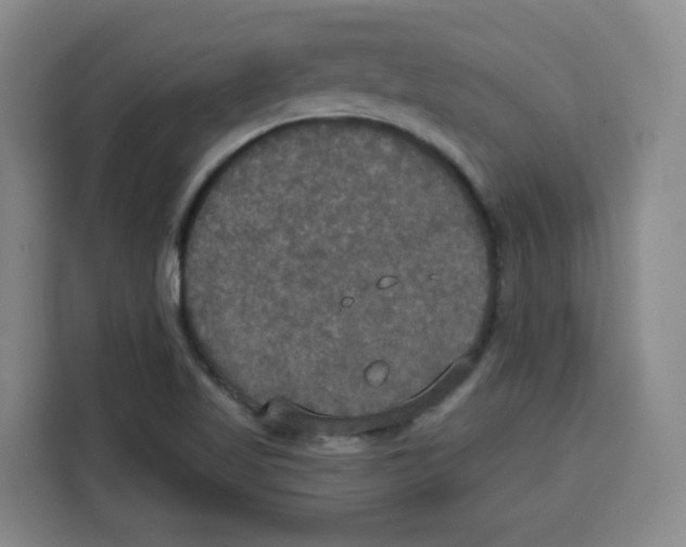 X0000115131509200911241435