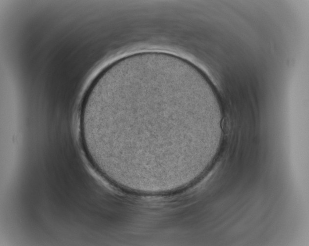 X0000115131511200911241435