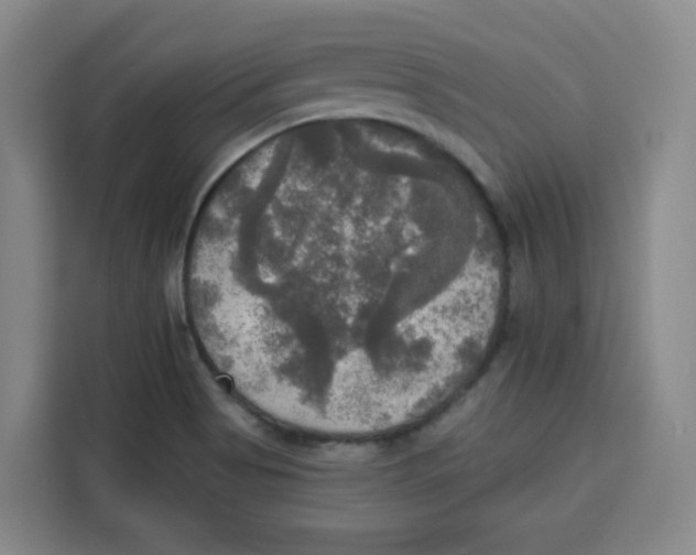 X0000115131513200911241435