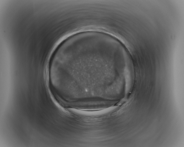 X0000115131515200911241435