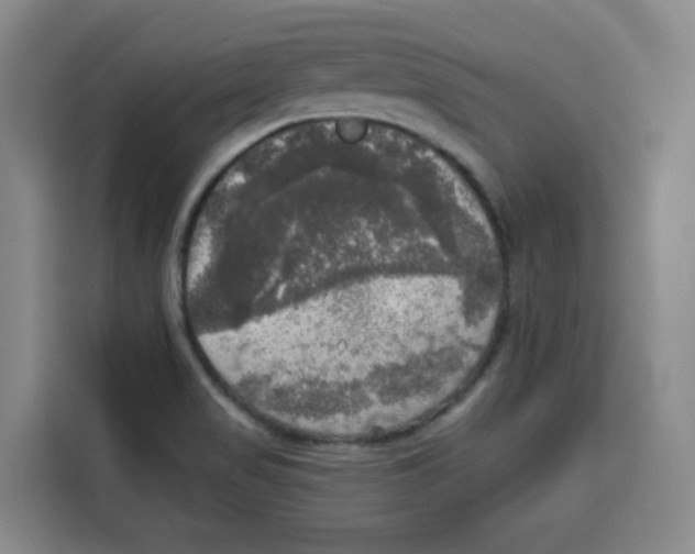X0000115131517200911241435
