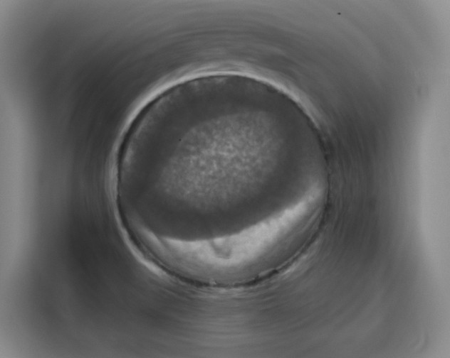 X0000115131519200911241435